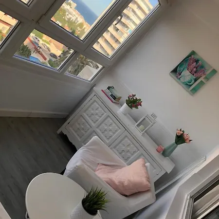 Delta Oasis *